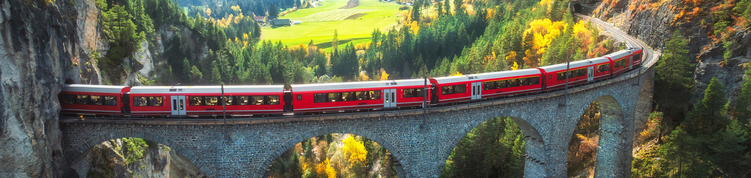 Cruise and Rail