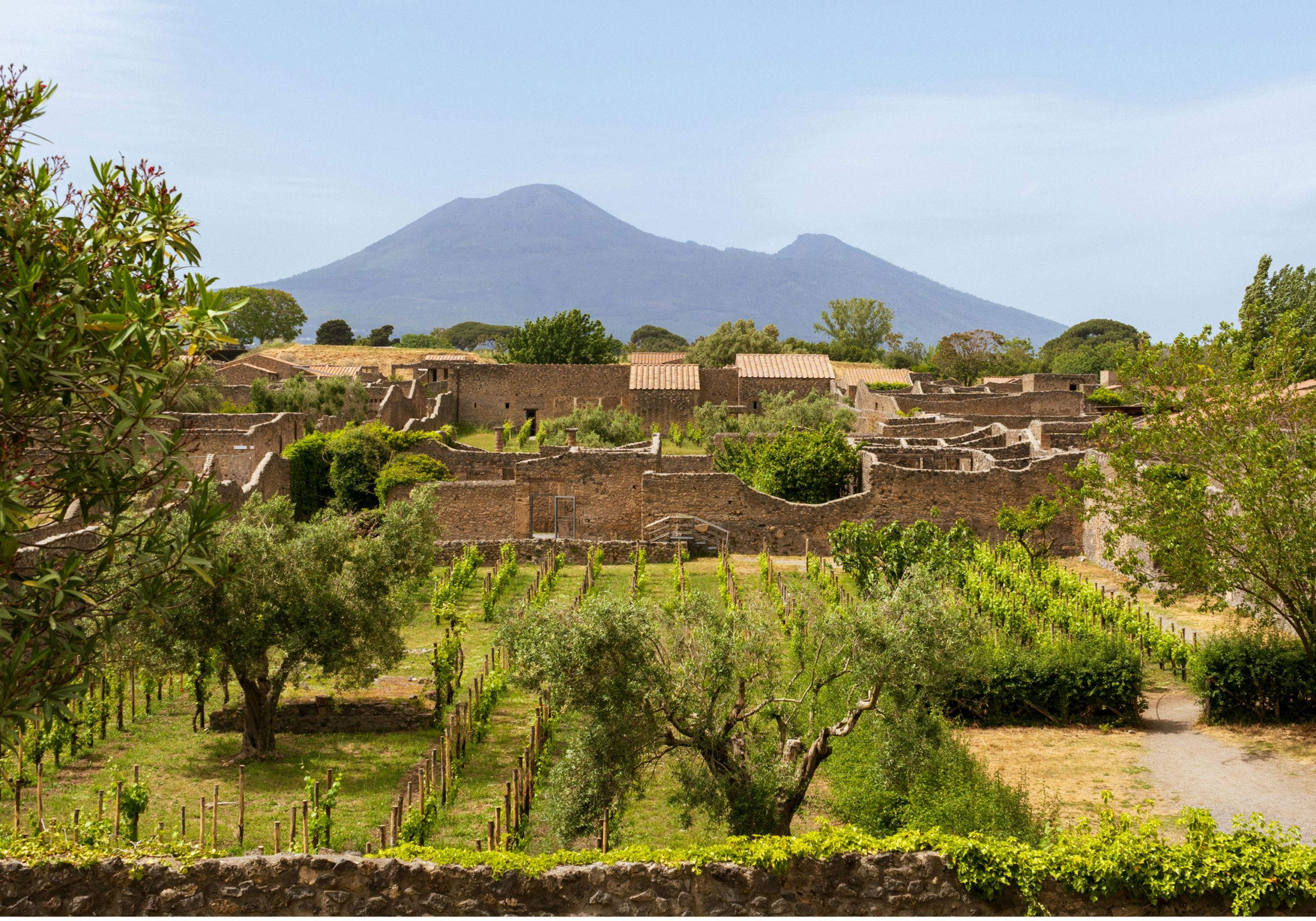 Pompeii & Vesuvius